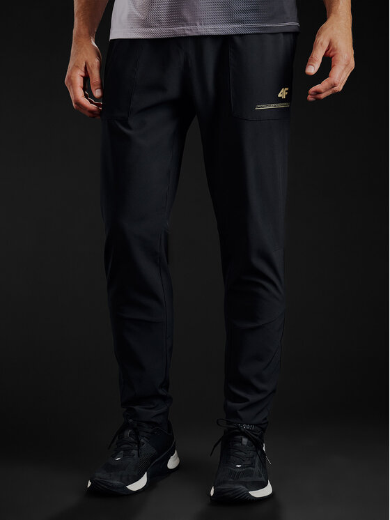 4F 4F Spodnie dresowe GOLDEN WARRIOR Czarny Regular Fit