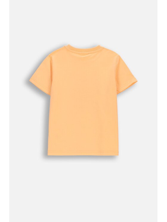 Coccodrillo Coccodrillo T-Shirt WC6143202HBK-005 Różowy Regular Fit