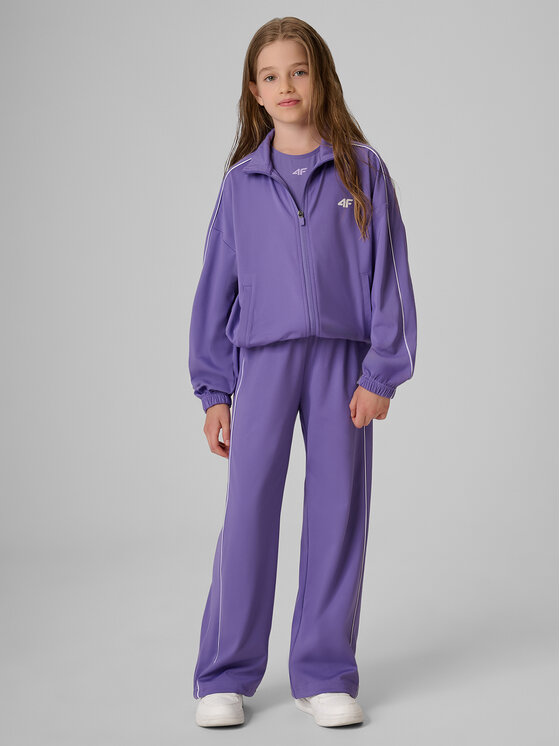 4F 4F Spodnie dresowe AQUA FORCE Fioletowy Regular Fit
