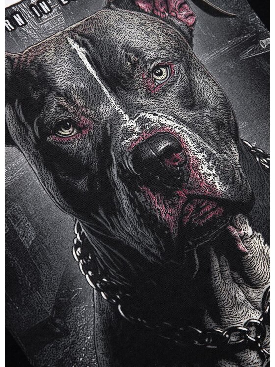 PITBULL PITBULL T-Shirt Koszulka damska Street King XS Czarny Regular Fit