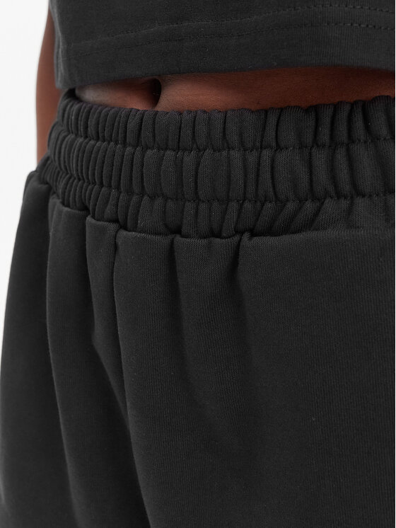 Reebok Reebok Sportshorts Reebok x Ewa Chodakowska RK25623CCW Schwarz Regular Fit