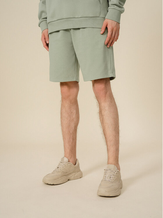 Outhorn Pantaloni scurți sport OTHSS23TSHOM130 Verde Regular Fit
