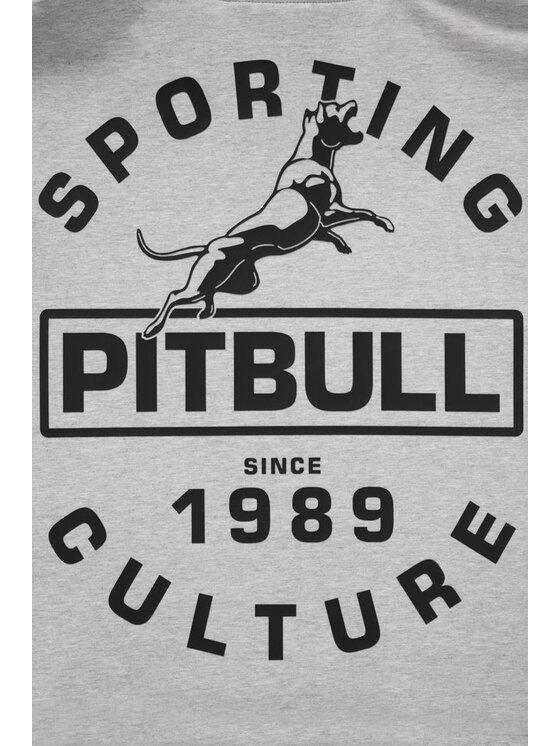 PITBULL PITBULL Bluza PHYSICAL CULTURE Szary Regular Fit