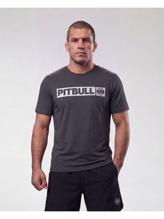 PITBULL PITBULL Koszulka techniczna Casual Sport HILLTOP II Szary Regular Fit