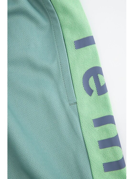 Lemon Explore Lemon Explore Szorty WL5120502ACB-012 Zielony Regular Fit