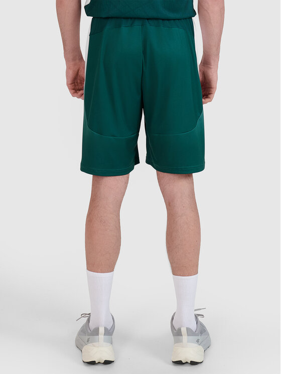 4F 4F Szorty sportowe TEAMWEAR Kolorowy Regular Fit