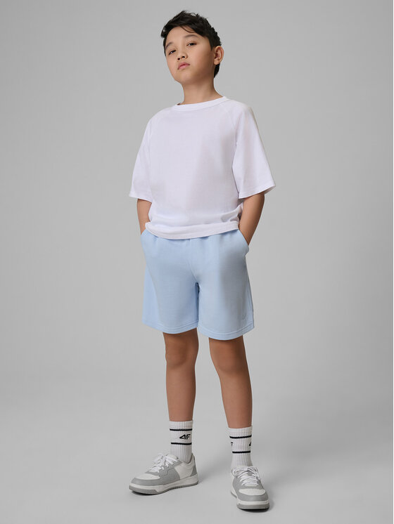 4F 4F Szorty sportowe BASIC+ Niebieski jasny Regular Fit