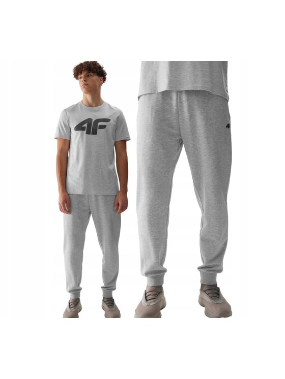 4F 4F Spodnie dresowe 4FWSS24TTROM603-27M Szary Regular Fit