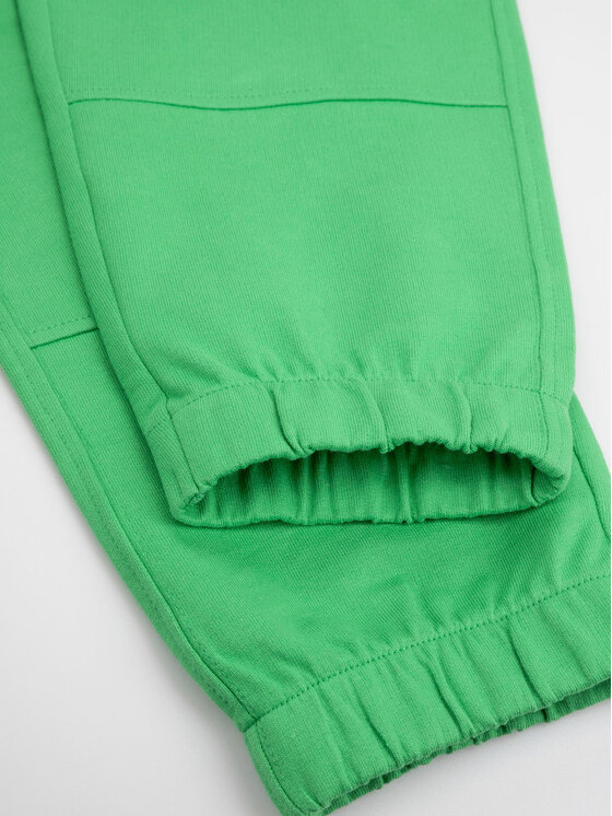 Coccodrillo Coccodrillo Spodnie dresowe ZC3120101VBB Zielony Slim Fit