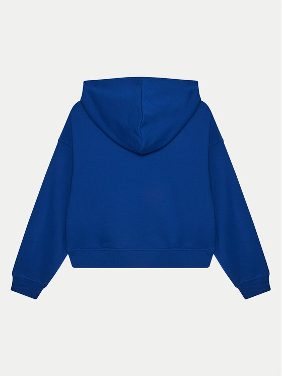 Calvin Klein Jeans Calvin Klein Jeans Bluza IG0IG02755 Niebieski Boxy Fit