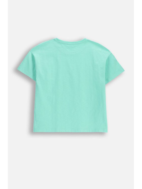 Coccodrillo Coccodrillo T-Shirt WC6143203TGJ-031 Zelená Regular Fit