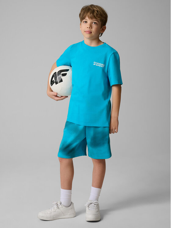 4F 4F T-Shirt STREET SPORT Niebieski Regular Fit