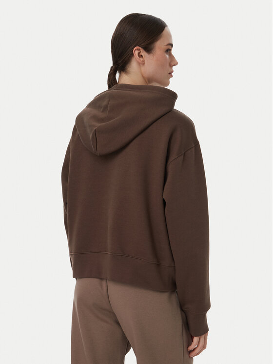 The North Face The North Face Sweatshirt Tnf Essential Simple Dome Boxy Os NF0A8HBX Braun Regular Fit