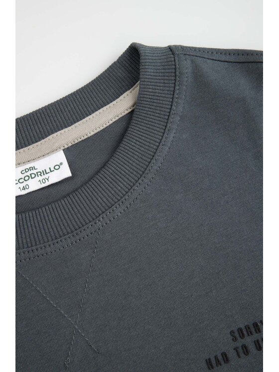 Coccodrillo Coccodrillo S dlouhým rukávem WC6143102RBJ-020 Šedá Regular Fit