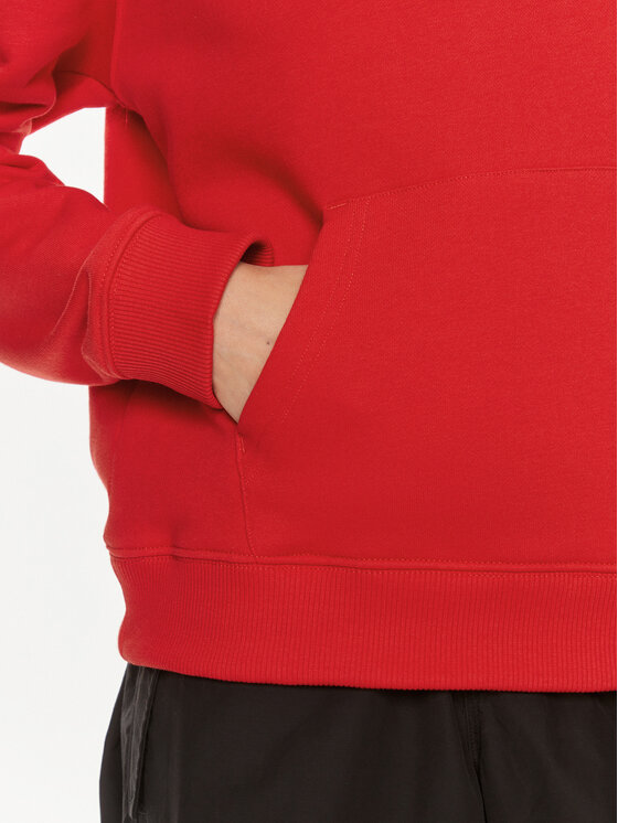 Tommy Jeans Tommy Jeans Sweatshirt Logo Drawcord DW0DW17794 Rot Boxy Fit
