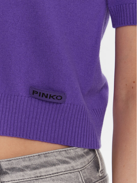 PINKO PINKO Kampsun Gorgona 105450 A2Q9 Lilla Regular Fit