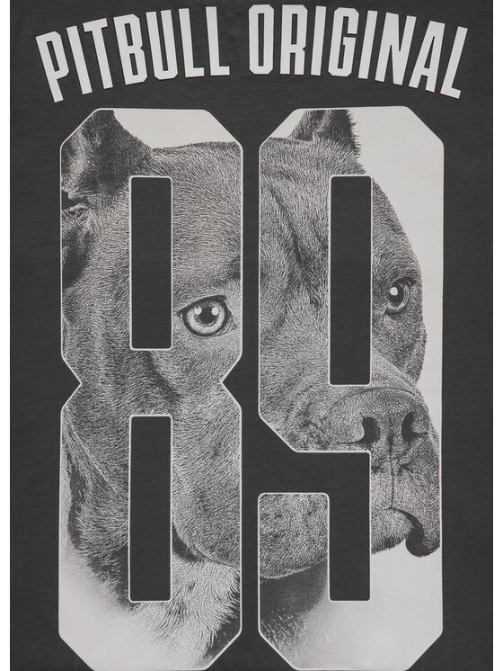 PITBULL PITBULL T-Shirt Koszulka Szary Regular Fit