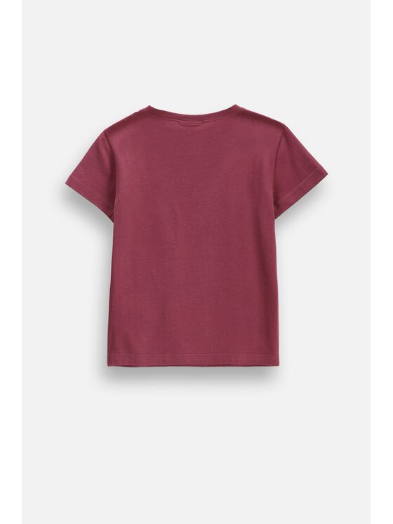 Coccodrillo Coccodrillo T-Shirt ZC6143239VGA-017 Bordowy Regular Fit