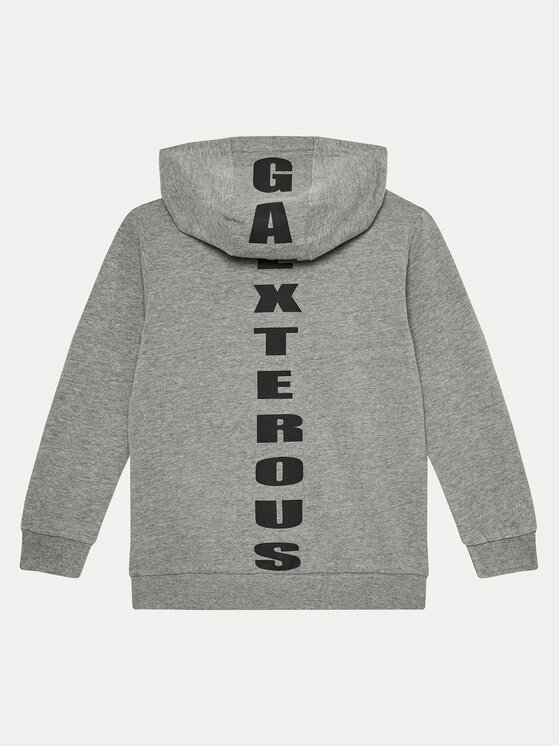 Coccodrillo Coccodrillo Sweatshirt ZC4132301VBA Grau Regular Fit