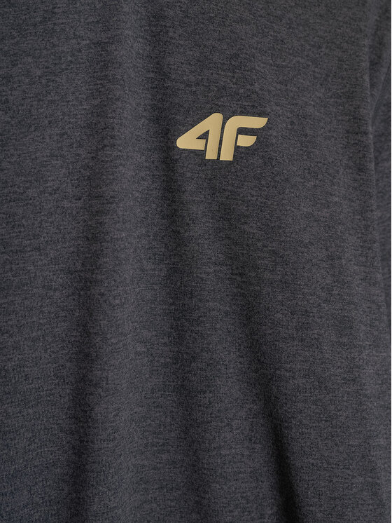 4F 4F Koszulka techniczna GOLDEN WARRIOR Szary ciemny Regular Fit