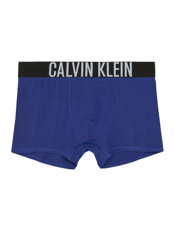 Calvin Klein Underwear Calvin Klein Underwear Bokserite komplekt B70B700510 Värviline