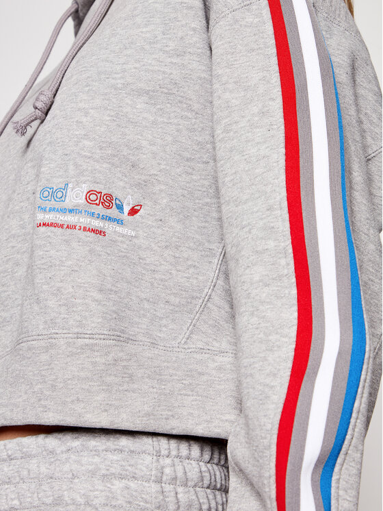 Felpa Tricolor Trefoil GN2855 Grigio Loose Fit