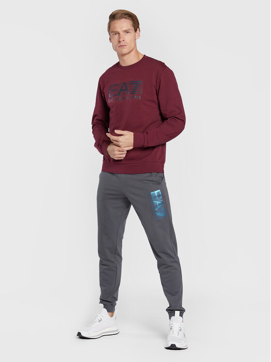 EA7 Emporio Armani EA7 Emporio Armani Spodnie dresowe 6LPP73 PJ05Z 1977 Szary Regular Fit