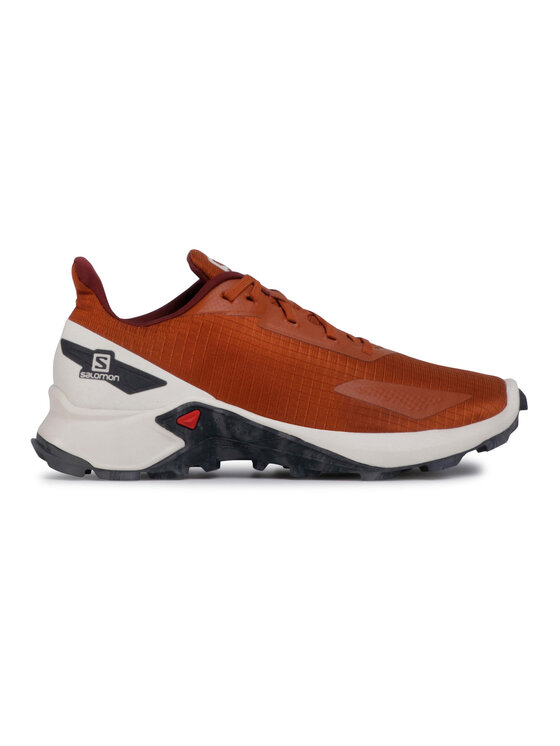 Salomon Salomon Взуття для бігу Alphacross Blast 411035 28 W0 Коричневий