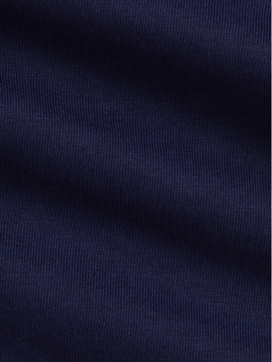 Polo Ralph Lauren Polo Ralph Lauren T-krekls 320A95734001 Tumši zils Regular Fit