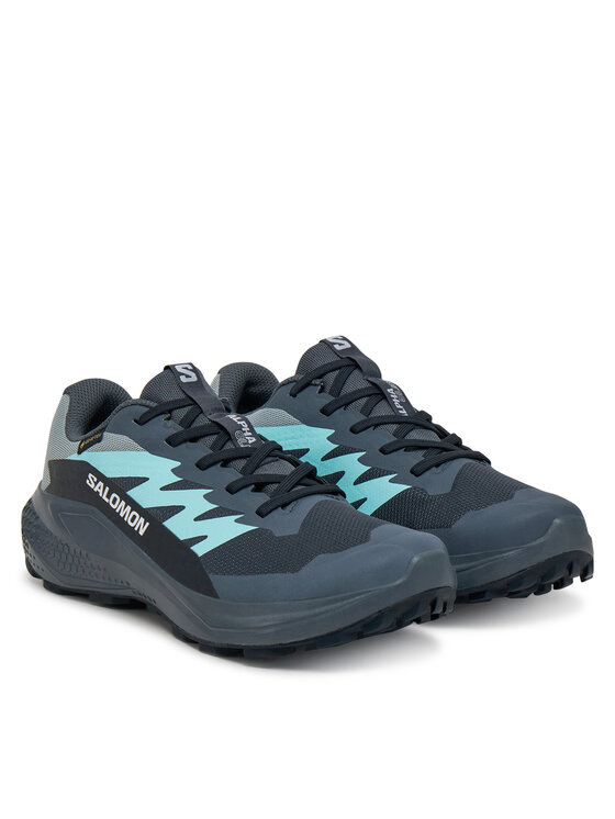 Salomon Salomon Pantofi pentru alergare Alphaglide Gore-Tex L47802500 Gri