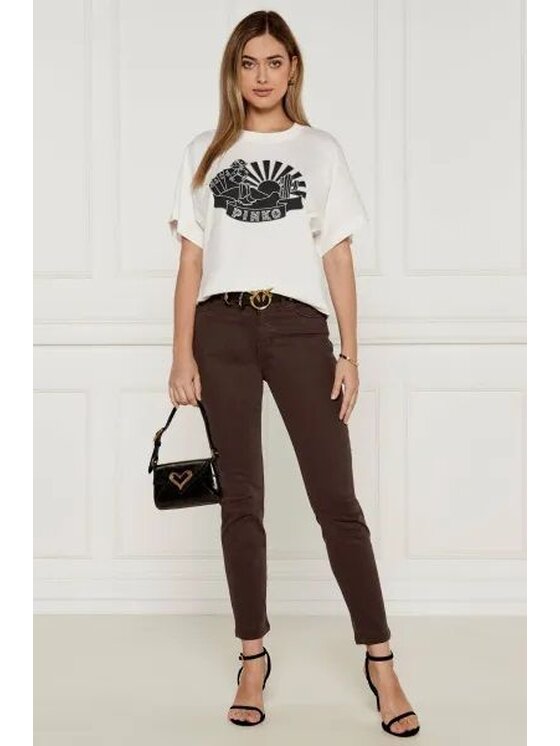 PINKO PINKO Pantaloni chino 67687 Marrone Regular Fit