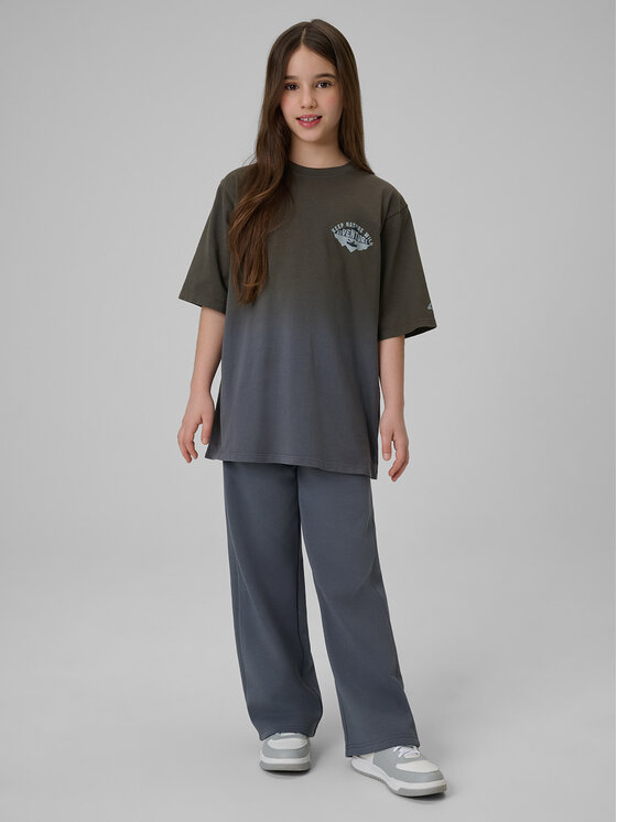 4F 4F Spodnie dresowe WILD WANDERLUST Szary ciemny Loose Fit