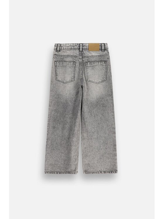Coccodrillo Coccodrillo Jeansy ZC6123103CJG-019 Szary Regular Fit