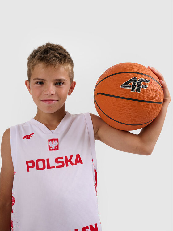4F 4F Koszulka techniczna TEAMWEAR Kolorowy Regular Fit