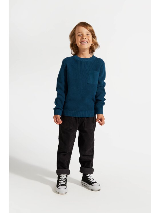 Coccodrillo Coccodrillo Sweter ZC4172103ABK-014 Niebieski Regular Fit