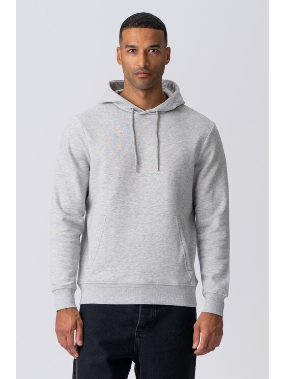 TeeShoppen TeeShoppen Bluza 'Basic Collection' Szary Regular Fit