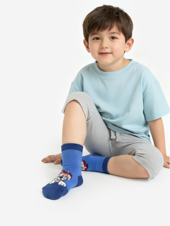 Paw Patrol Paw Patrol Skarpety długie CEO-ACCCS-AW25-330PAW(3-PACK) Niebieski