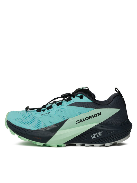 Salomon Salomon Παπούτσια για Τρέξιμο Sense Ride 5 Gore-Tex L47216000 Μπλε