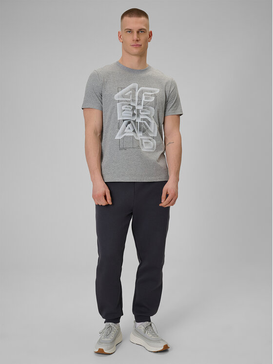 4F 4F T-Shirt WINTER CODE Szary jasny Regular Fit