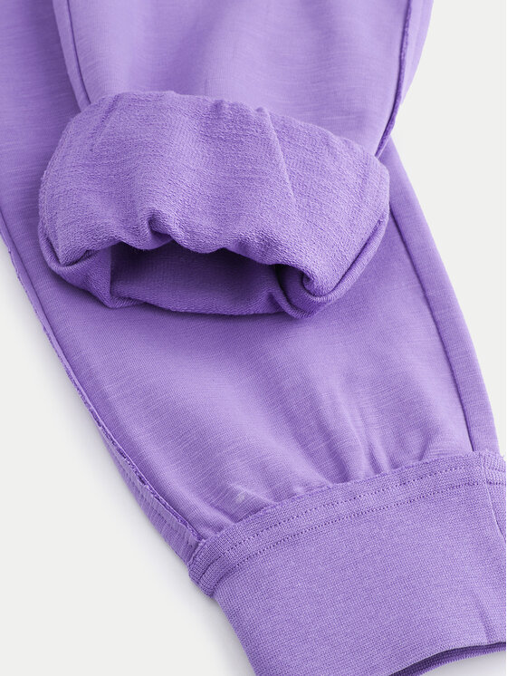 Coccodrillo Coccodrillo Jogginghose ZC4120101VGA Violett Regular Fit