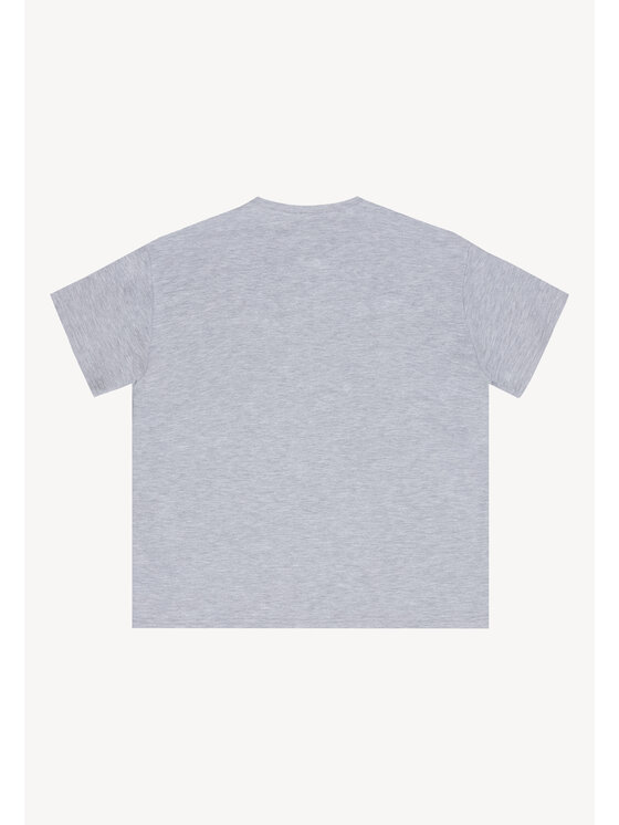 BIZUU BIZUU T-Shirt TISHALLE Szary Standard Fit