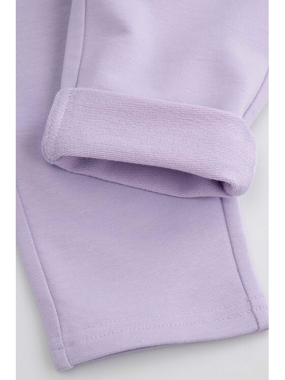 Coccodrillo Coccodrillo Teplákové kalhoty ZC5120103HGN-016 Fialová Regular Fit