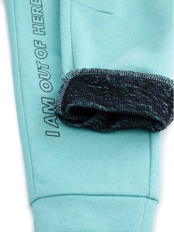 Coccodrillo Coccodrillo Sportinės kelnės WC5120103CBK Žydra Regular Fit