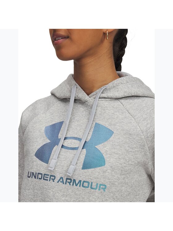 Under Armour Under Armour Bluza UA-6003710-011 Szary Regular Fit