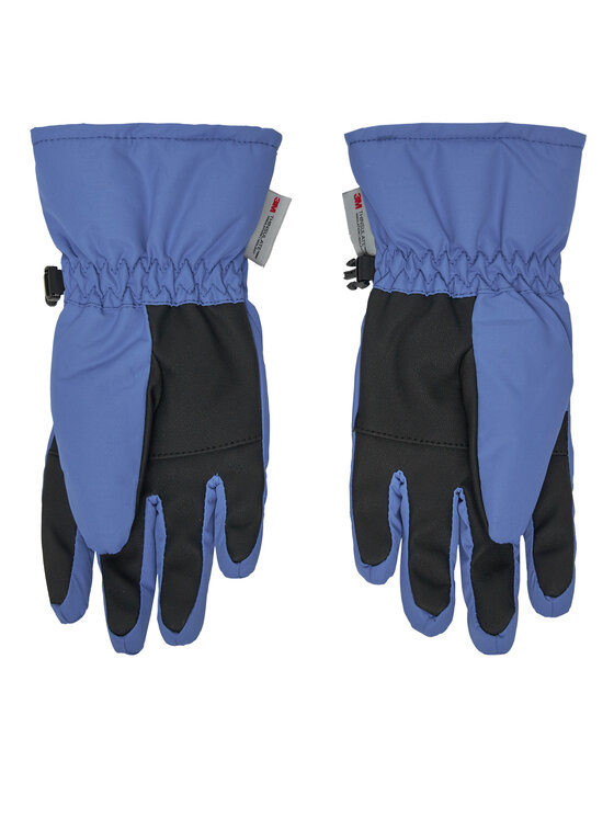 4F 4F Skihandschuhe 4FJWAW24AFGLU130 Blau