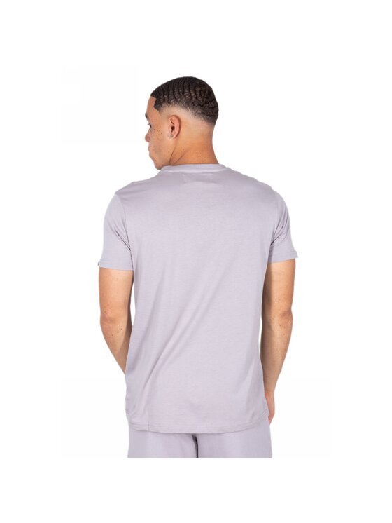 Alpha Industries Alpha Industries T-Shirt AI.118529-643-XL Šedá Regular Fit