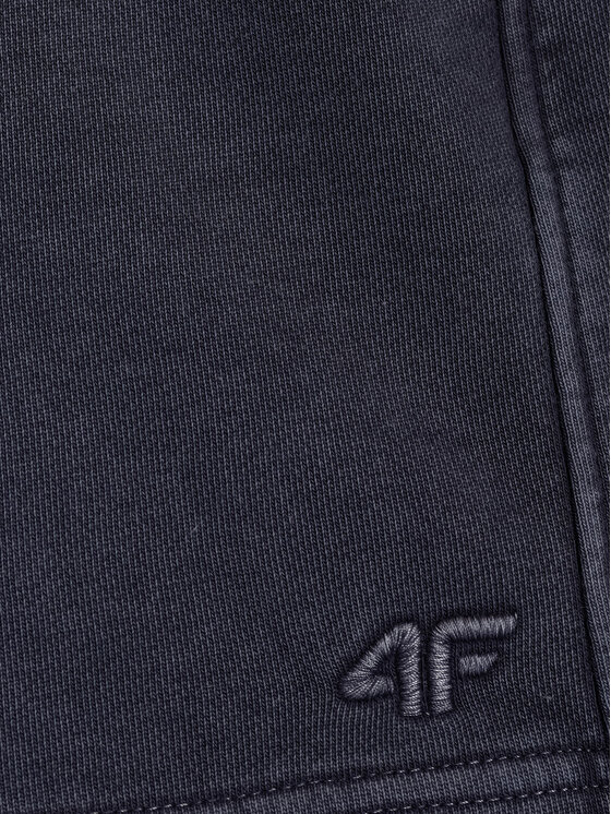 4F 4F Szorty sportowe APRES SEA Granatowy Regular Fit