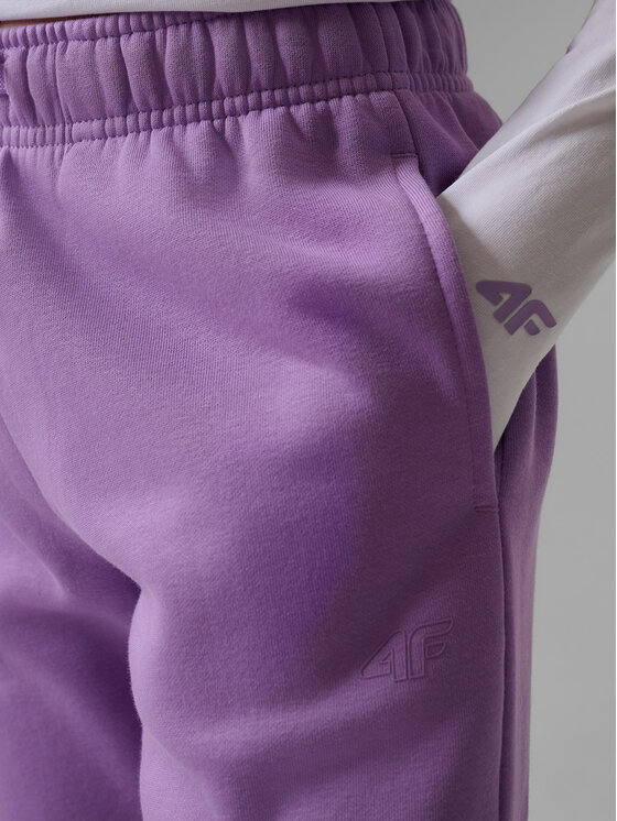 4F 4F Spodnie dresowe BASIC+ Fioletowy Regular Fit