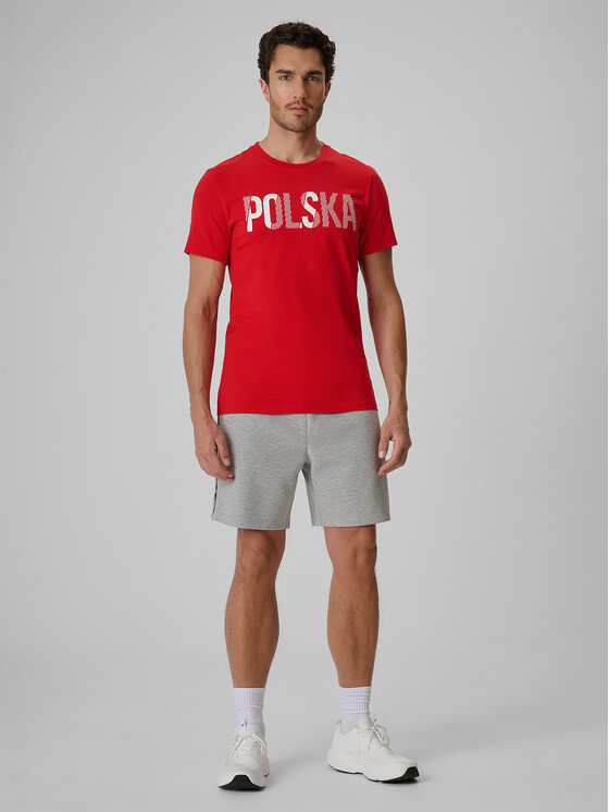 4F 4F Szorty sportowe STREFA KIBICA Szary jasny Regular Fit