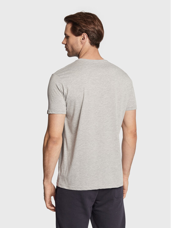 Alpha Industries Alpha Industries 2er-Set T-Shirts Alpha Label 118534 Bunt Regular Fit